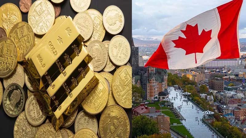 Canadian Gold Robbery