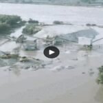 Flood in Punjab 7