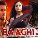 baaghi 3