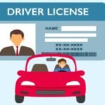 driver licence