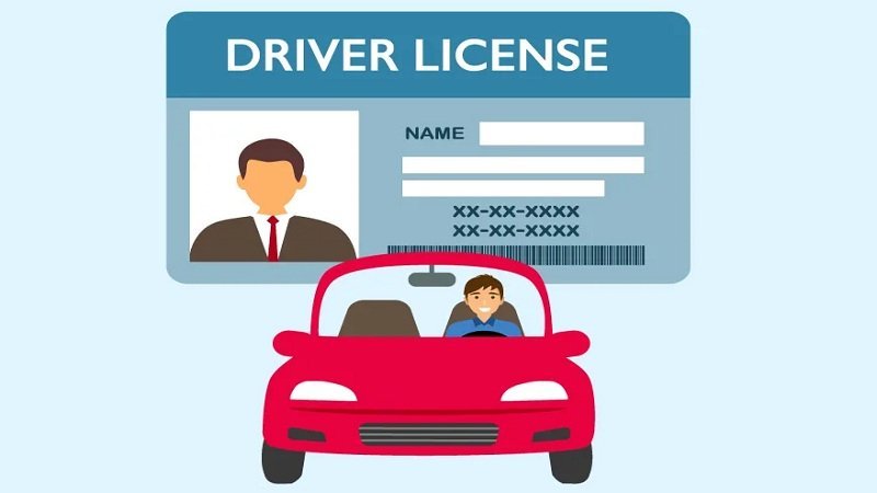 driver licence