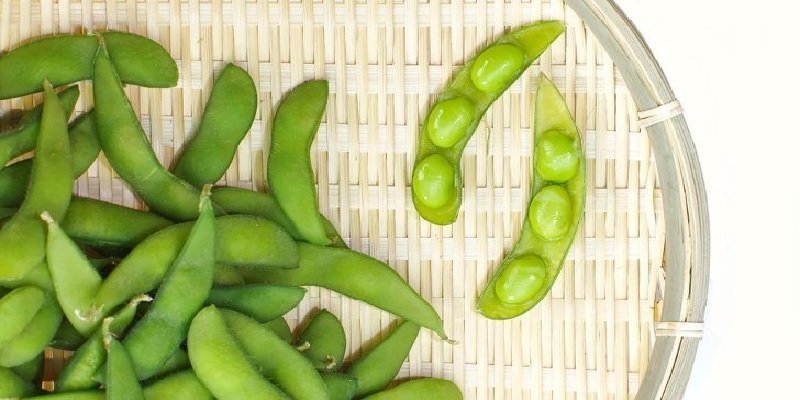 edamame benefits