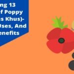 poppy seeds benefits