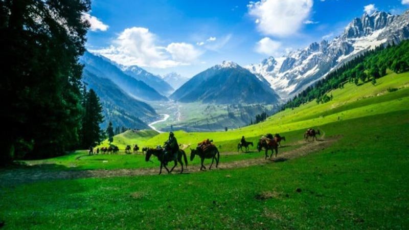 Jammu and Kashmir