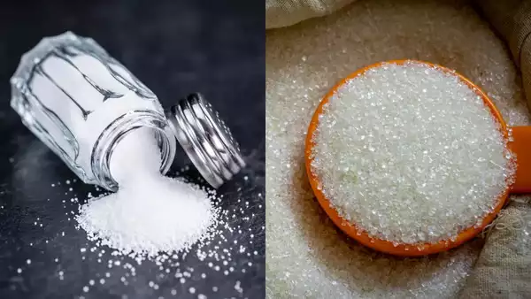 Microplastics in Salt and Sugar Brands: क्या आपके नमक और चीनी में भी हैं माइक्रोप्लास्टिक्स? जानें इस नई रिपोर्ट के बारे में