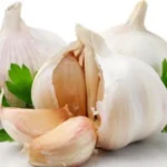 Garlic