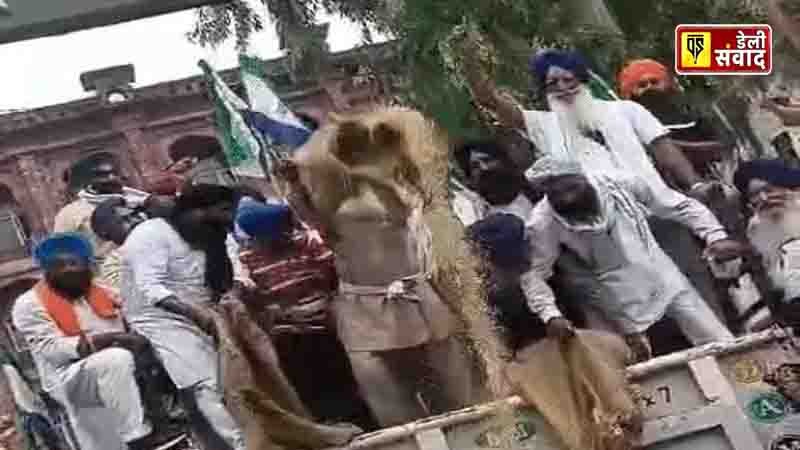 Farmers protesting by scattering paddy in Amritsar.