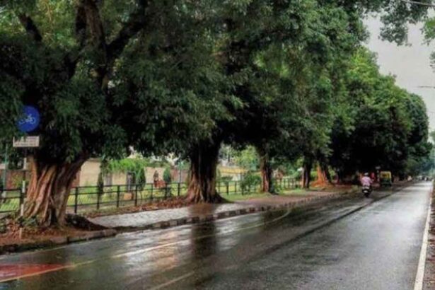 Punjab Weather Update: उत्तर भारत में मौसम का कहर, पंजाब-हरियाणा में भारी बारिश और ओलावृष्टि की चेतावनी