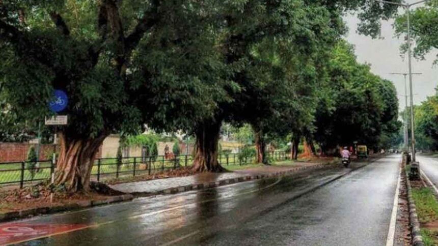 Punjab Weather Update: उत्तर भारत में मौसम का कहर, पंजाब-हरियाणा में भारी बारिश और ओलावृष्टि की चेतावनी